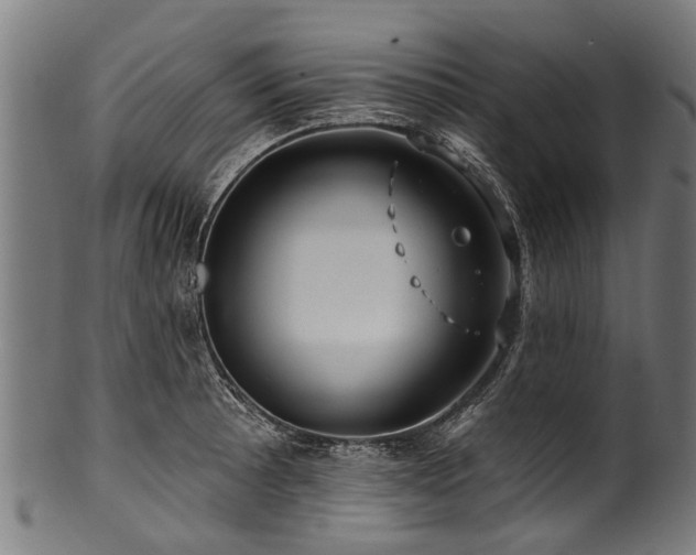 X0000100971089200806241545