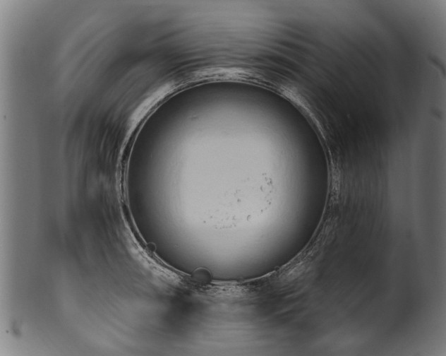 X0000100971090200806241545