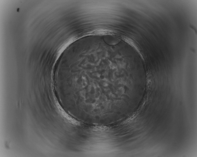 X0000100971091200806241545