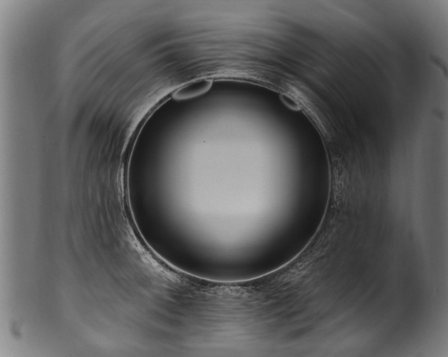 X0000100971092200806241545