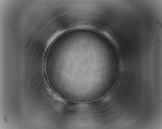 X0000100971094200806241545