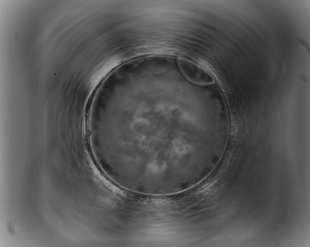 X0000100971095200806241545