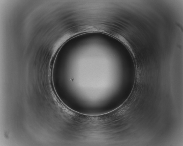 X0000100971096200806241545