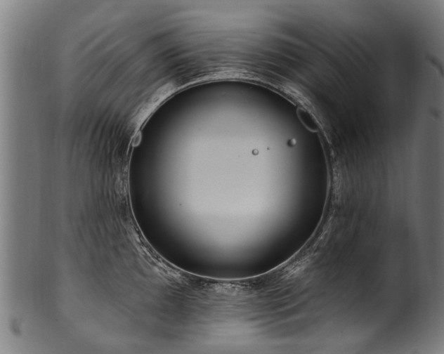 X0000100971097200806241545