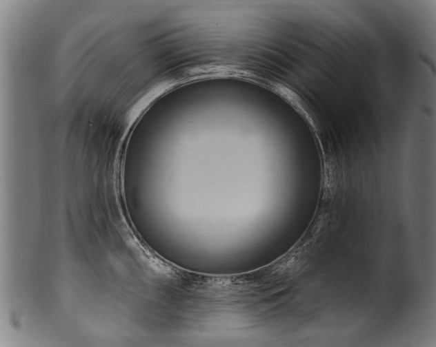 X0000100971098200806241545