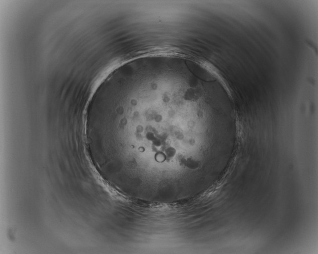 X0000100971099200806241545