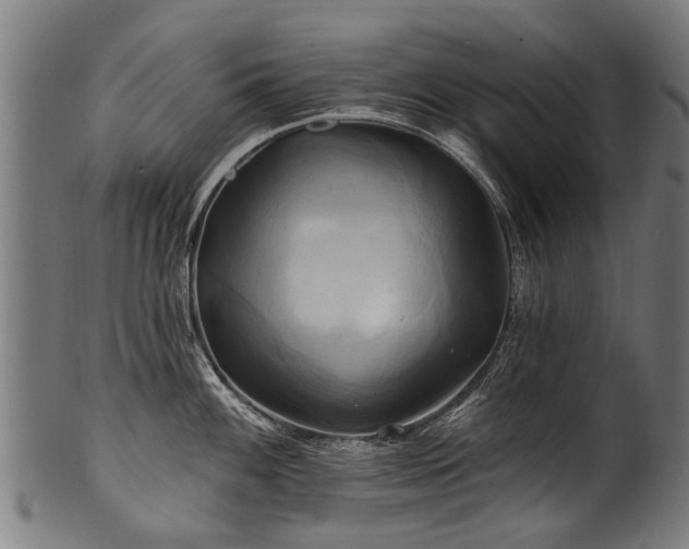 X0000100971100200806241545