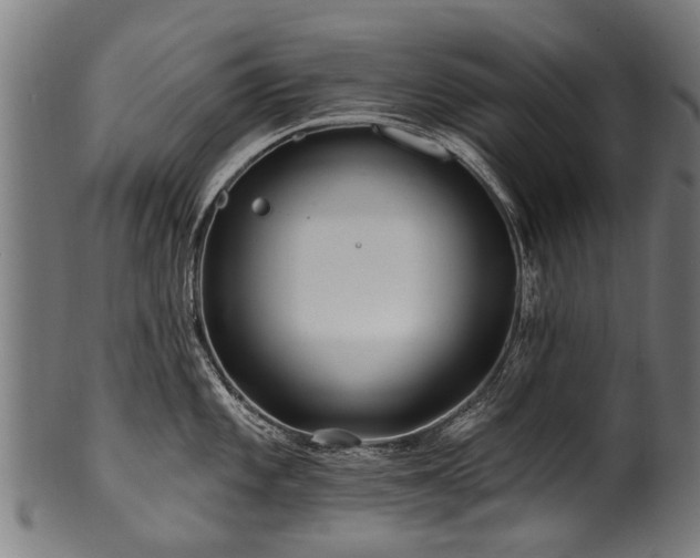 X0000100971101200806241545