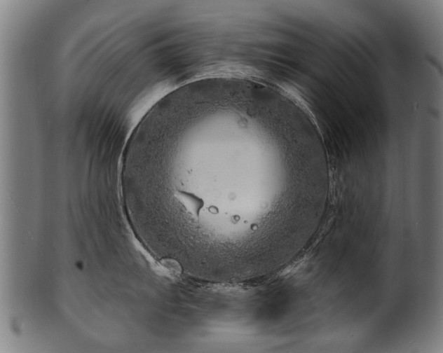 X0000100971103200806241545