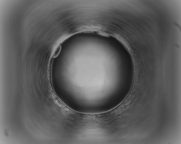 X0000100971104200806241545