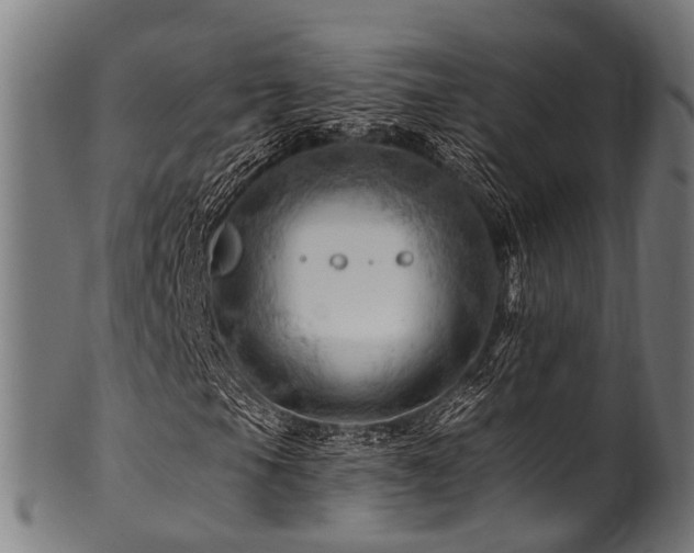 X0000100971105200806241544