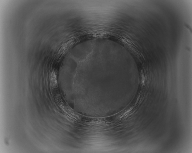 X0000100971106200806241544