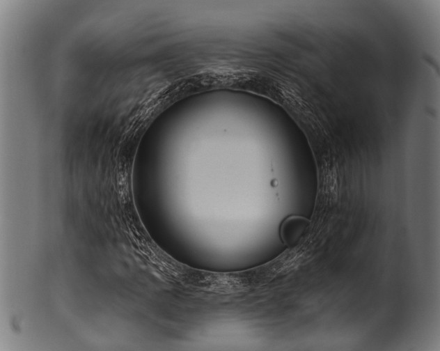 X0000100971109200806241544