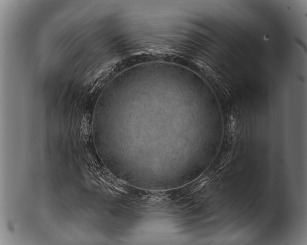 X0000100971110200806241544