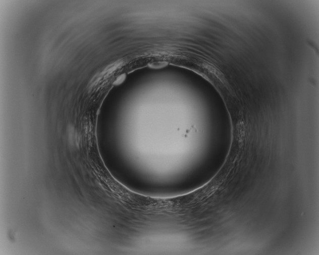 X0000100971111200806241544