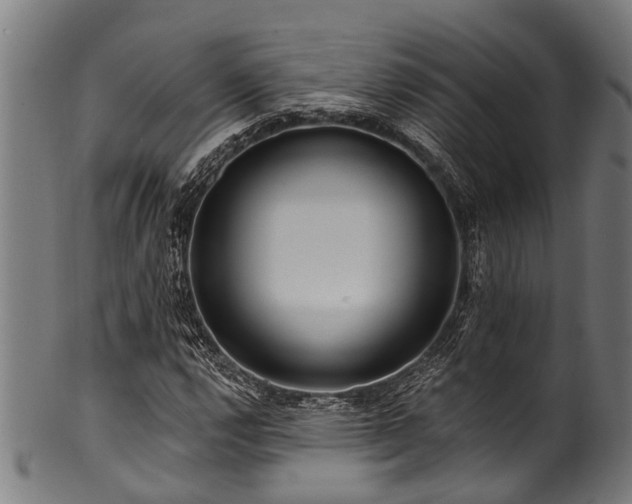 X0000100971112200806241544