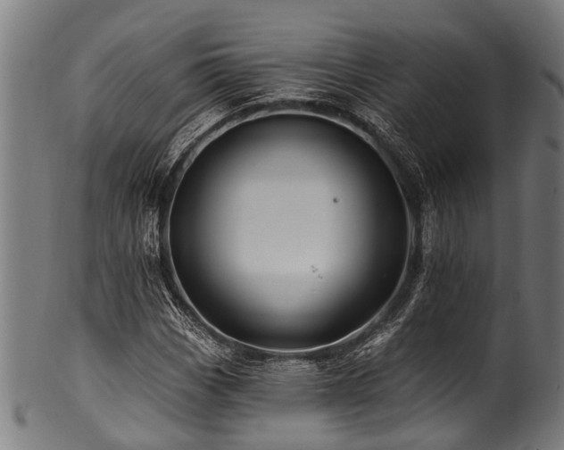 X0000100971113200806241544