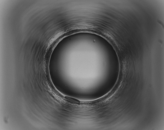 X0000100971114200806241544