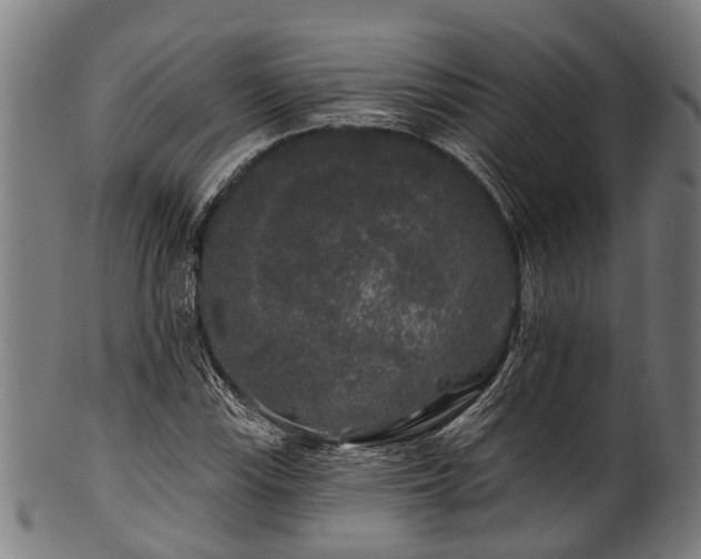 X0000100971115200806241544