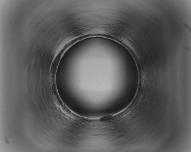 X0000100971116200806241544