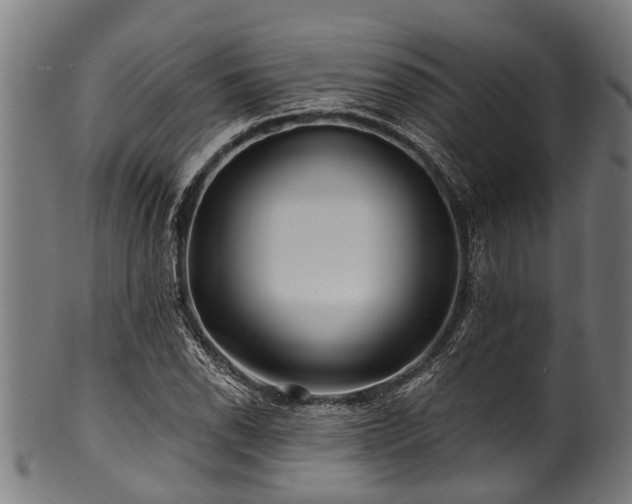 X0000100971118200806241544