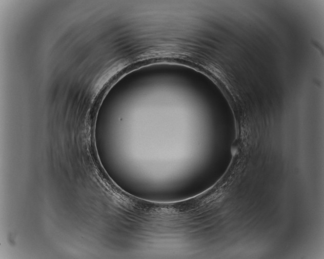 X0000100971119200806241544