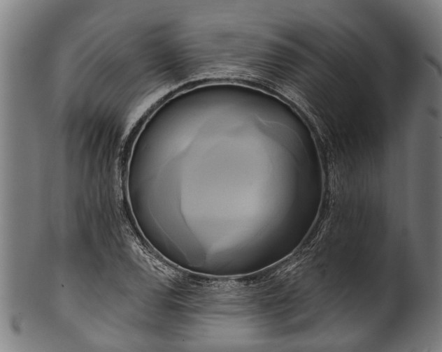 X0000100971120200806241544