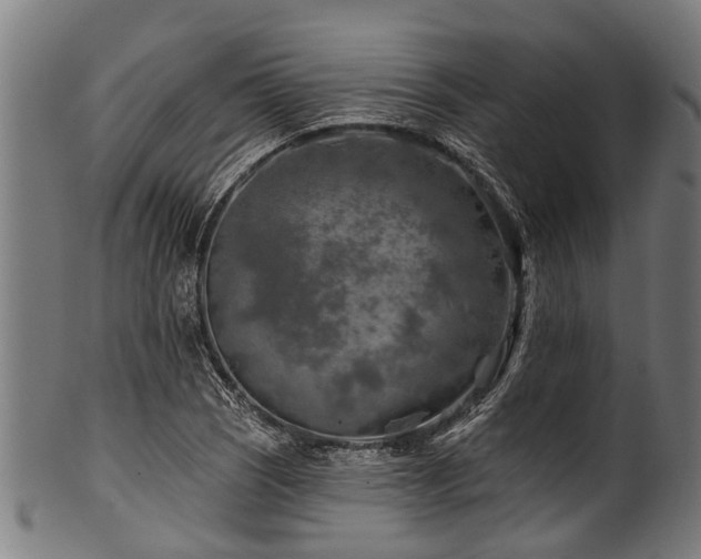 X0000100971121200806241544