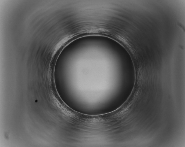 X0000100971122200806241545