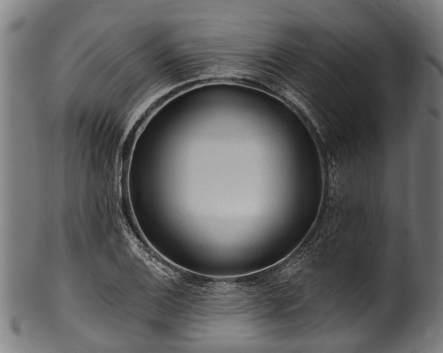 X0000100971124200806241545