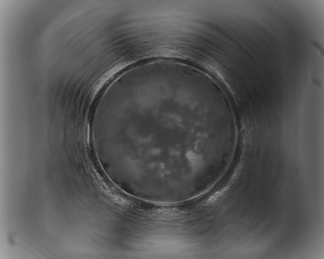 X0000100971125200806241545