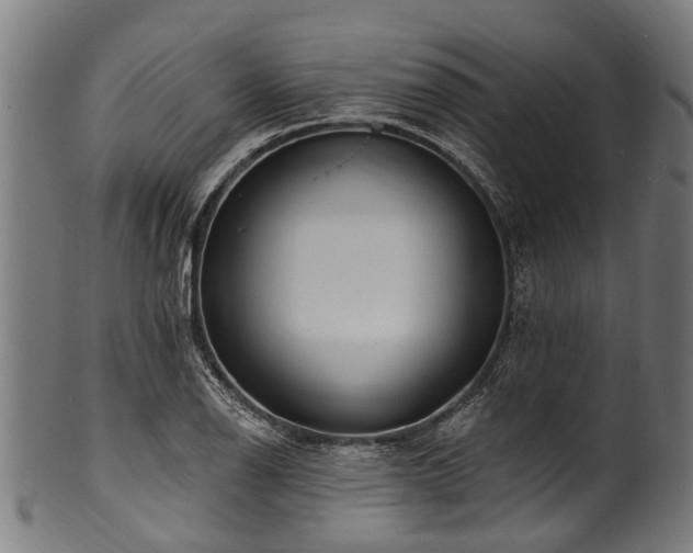 X0000100971126200806241545