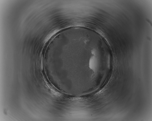 X0000100971127200806241545