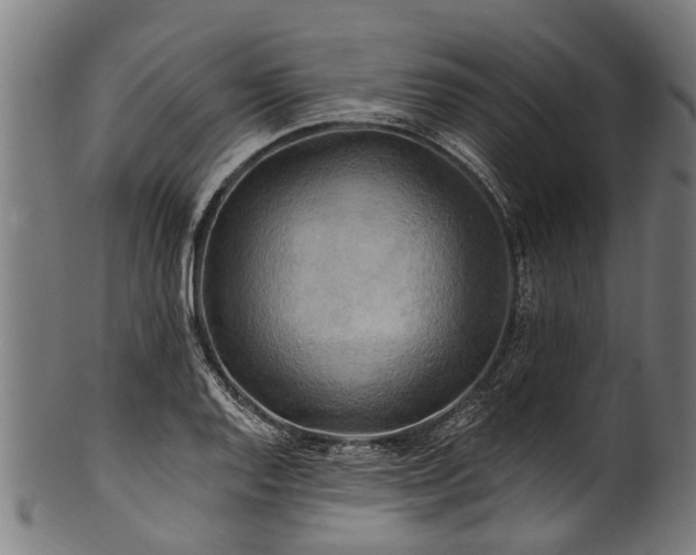 X0000100971128200806241545