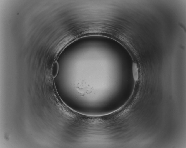 X0000100971129200806241545