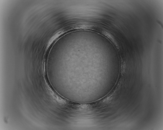 X0000100971130200806241545