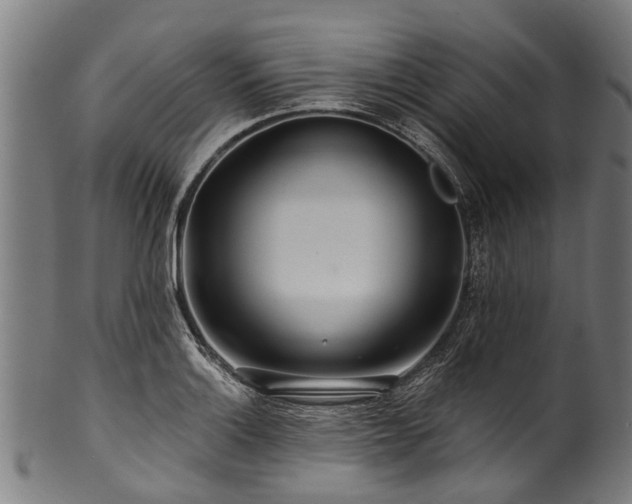 X0000100971132200806241545