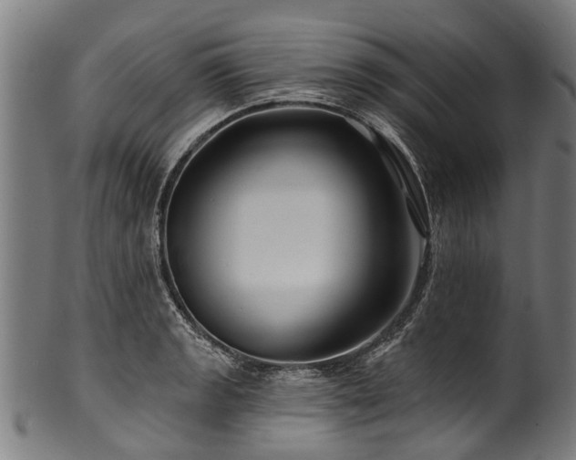 X0000100971133200806241545