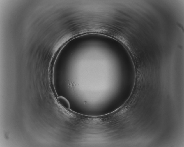 X0000100971135200806241545