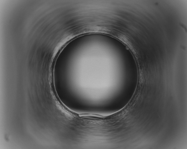 X0000100971136200806241545