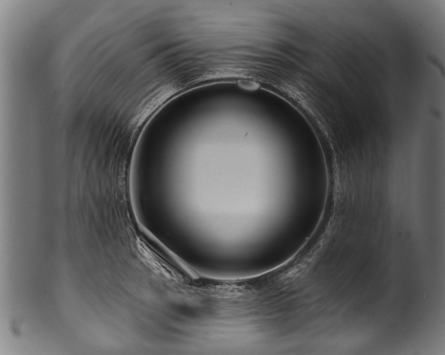 X0000100971137200806241545