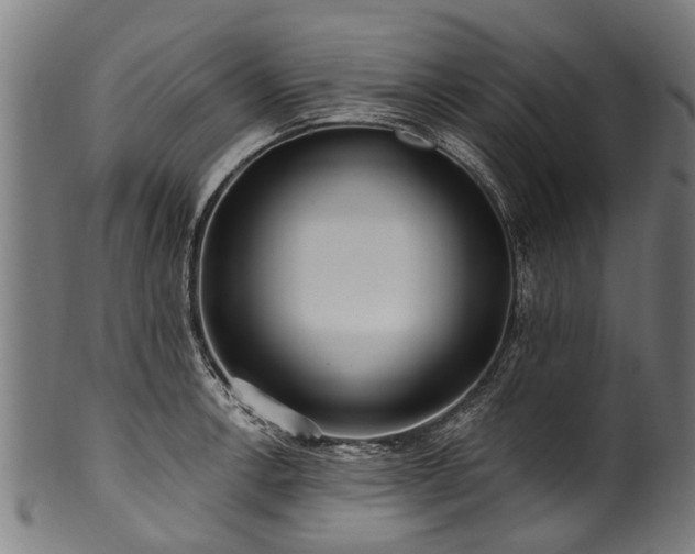 X0000100971138200806241545