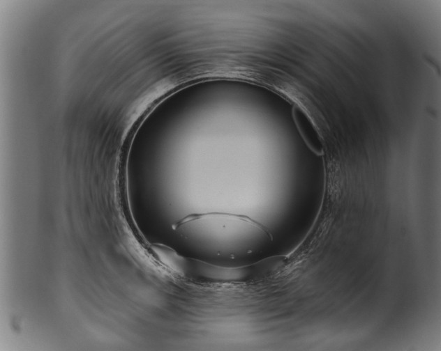 X0000100971139200806241545