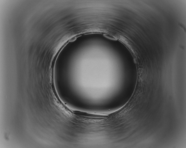 X0000100971140200806241545