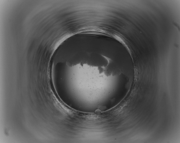 X0000100971141200806241545