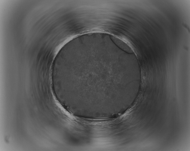 X0000100971142200806241545