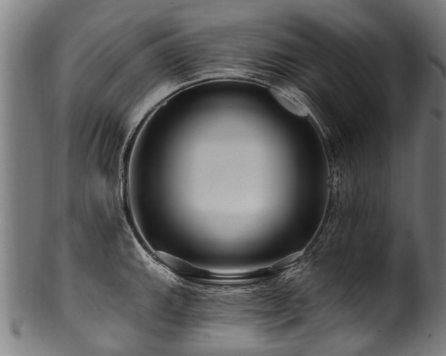 X0000100971143200806241545