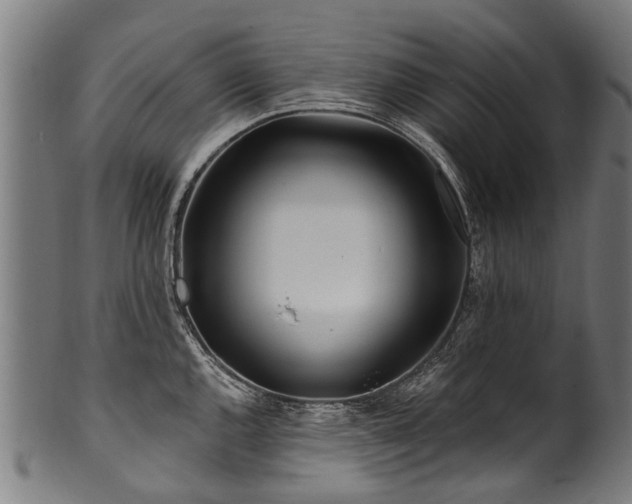 X0000100971144200806241545