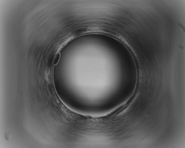 X0000100971145200806241545