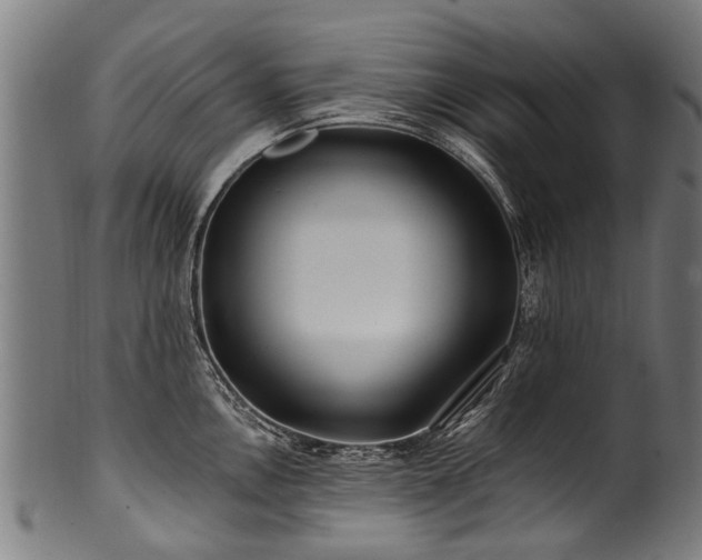 X0000100971146200806241545